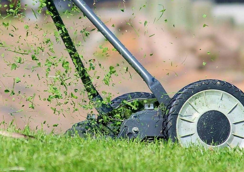 What’s the Best Time of Day to Mow Your Lawn and Why It Matters